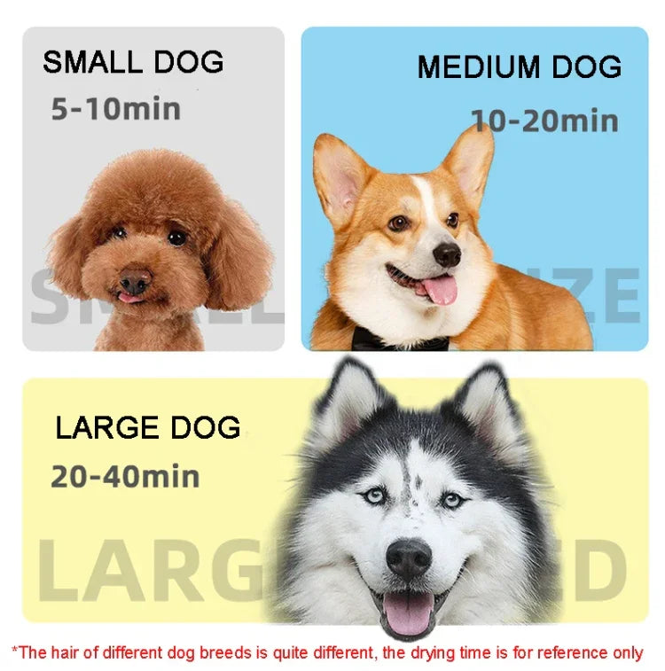 2100W 犬用ドライヤー 無段階速度調整 ペット用毛吹き飛ばし機 ペット用水吹き飛ばし機、220V UKプラグ、220V EUプラグ、220V AUプラグ、110V USプラグ