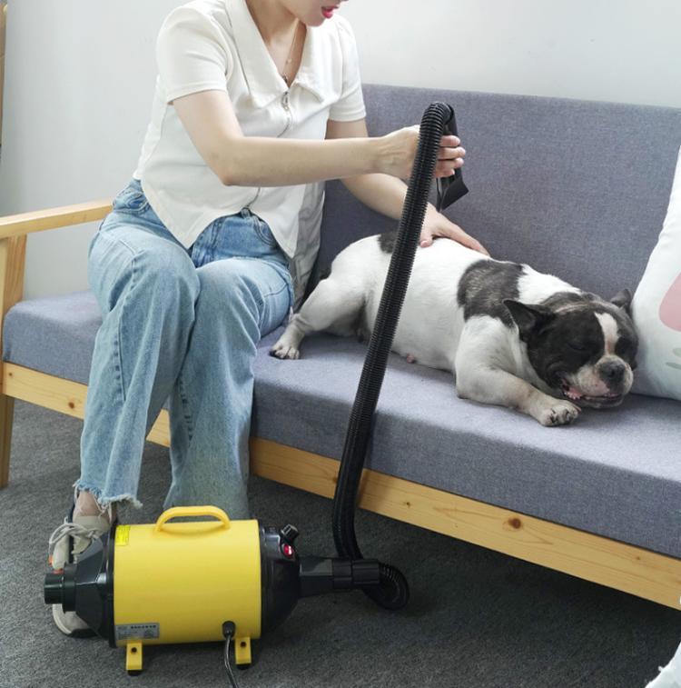 2100W 犬用ドライヤー 無段階速度調整 ペット用毛吹き飛ばし機 真空クリーナー付き、220V UKプラグ、220V EUプラグ、220V AUプラグ、110V USプラグ