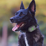 スマート防水電気ショック犬トレーナー 充電式リモコンバークストッパー
