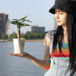ダイヤモンド形自動吸水レイジーフラワーポット 観葉植物用プラスチックポット、12cm x 14cm