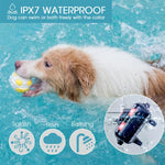 スマート電子リモコン犬トレーニングデバイス 防水 ペット用バークストッパー 1匹用, 2匹用
