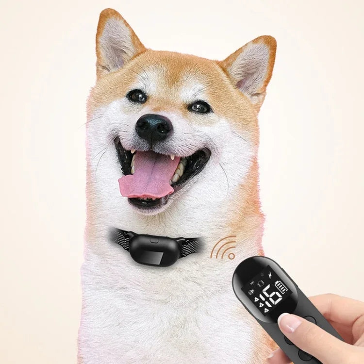 スマート防水ショック首輪 ペット用リモコン犬トレーニングデバイス 1匹用, 2匹用