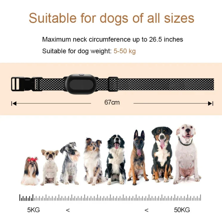 犬トレーニング首輪 スマート400mリモコン ペットトレーニングデバイス, T300, 受信機付き