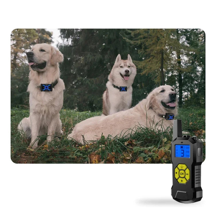 スプレー防水ショック犬トレーニング首輪、T500、受信機