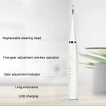 電動歯石除去器アクセサリー交換用ヘッド、ホワイトベーシック、ホワイトエクスクルーシブ、ブラックベーシック、ブラックエクスクルーシブ、グリーンベーシック、グリーンエクスクルーシブ、歯ブラシヘッド白5本、歯ブラシヘッド黒5本、歯ブラシヘッド緑5本
