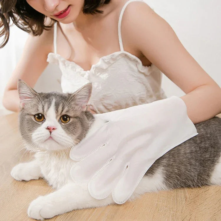 KIMHOME ペット用洗い不要グローブワイプ 犬猫用入浴消臭清掃ドライクリーニング用品、6枚入りパック