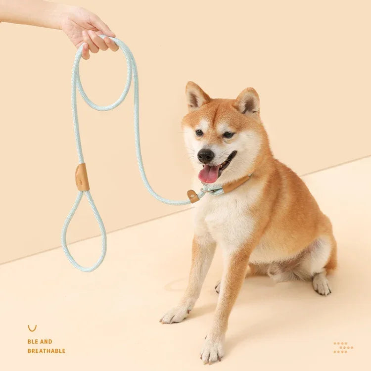 犬用牽引ロープ中大型犬用ユニバーサル安全バックルチェーンサークル、1.5m x 0.6cm、1.5m x 0.8cm、1.5m x 1cm、1.8m x 0.6cm、1.8m x 0.8cm、1.8m x 1cm