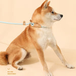 犬用牽引ロープ中大型犬用ユニバーサル安全バックルチェーンサークル、1.5m x 0.6cm、1.5m x 0.8cm、1.5m x 1cm、1.8m x 0.6cm、1.8m x 0.8cm、1.8m x 1cm
