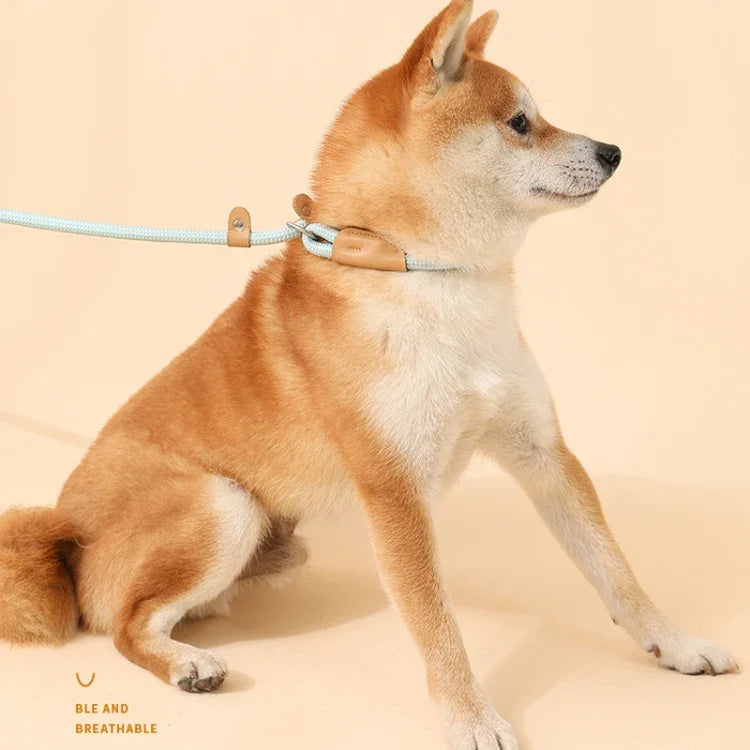 犬用牽引ロープ中大型犬用ユニバーサル安全バックルチェーンサークル、1.5m x 0.6cm、1.5m x 0.8cm、1.5m x 1cm、1.8m x 0.6cm、1.8m x 0.8cm、1.8m x 1cm