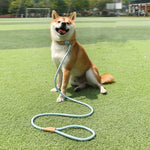 犬用牽引ロープ中大型犬用ユニバーサル安全バックルチェーンサークル、1.5m x 0.6cm、1.5m x 0.8cm、1.5m x 1cm、1.8m x 0.6cm、1.8m x 0.8cm、1.8m x 1cm