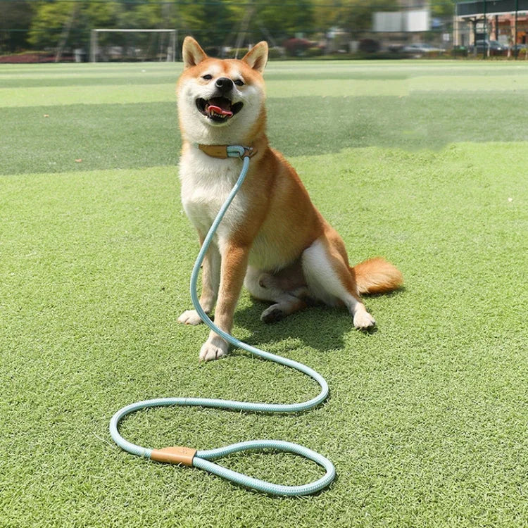 犬用牽引ロープ中大型犬用ユニバーサル安全バックルチェーンサークル、1.5m x 0.6cm、1.5m x 0.8cm、1.5m x 1cm、1.8m x 0.6cm、1.8m x 0.8cm、1.8m x 1cm