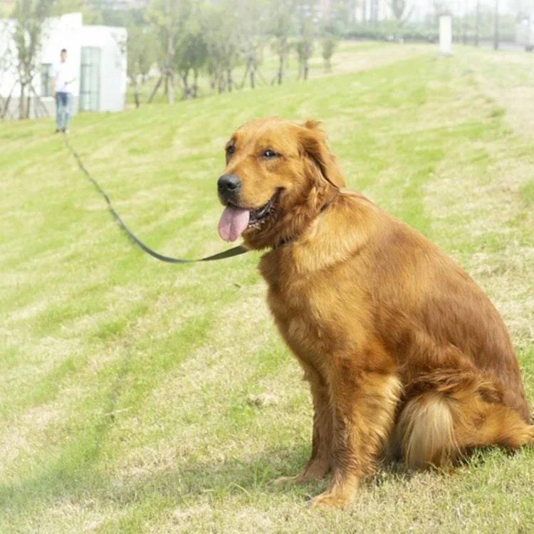 ペット追跡用犬用首輪リード犬訓練用伸縮牽引リード、2.5cm x 3m、2.5cm x 5m、2.5cm x 10m、2.5cm x 15m、2.5cm x 20m、2.5cm x 30m