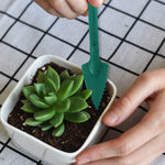 Large Gardening Seedling Remover Potted Planter And Nursery Seeder, 2pcs / Set