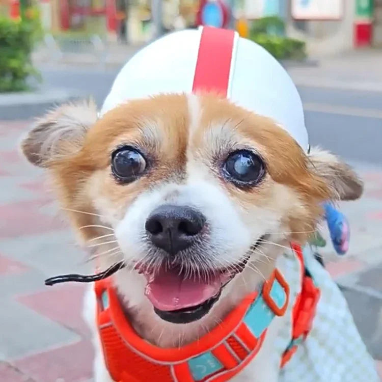 ペットヘルメット 犬と猫 ラグビーハットアクセサリー, S, M