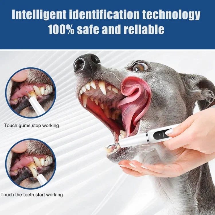 ペット用超音波歯クリーナー 犬用 電動歯磨きツール 自宅用歯科 歯石除去器