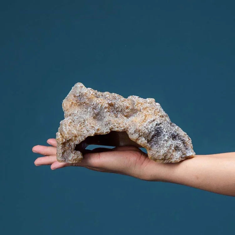 نص بديل للصورة