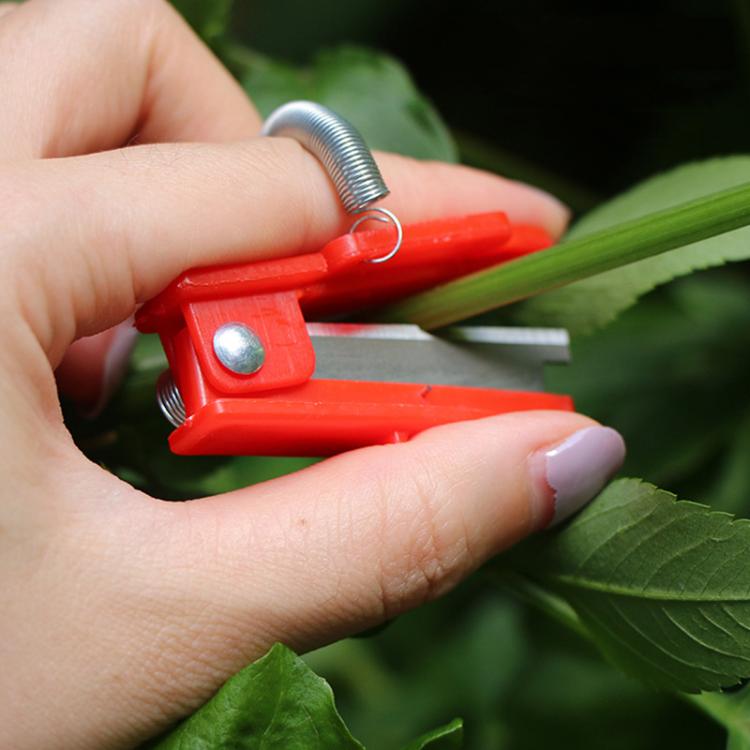 4個入り/パック メロン・果物摘み用小型ギロチン ブドウ摘み親指ナイフ 野菜摘み器