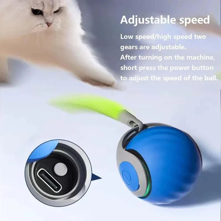 スマートセルフローリングボール インタラクティブ猫用おもちゃ USB充電式 猫ボール 2段階速度調整、TUTUオレンジ、TUTUブルー