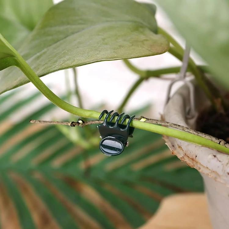50個入り/パック ガーデニング用つる固定クリップ 植物成形ツール 接ぎ木クリップ