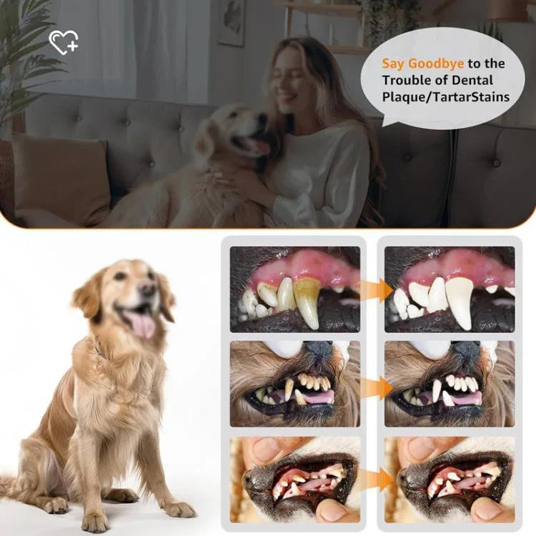 ペット用超音波歯クリーナー 犬用歯磨きキット プラーク・歯石除去 デンタルケアツール 3点セット（ホワイト）、3点セット（ブラック）、ギフトボックス付き口腔鏡（ホワイト）、ギフトボックス付き口腔鏡（ブラック）