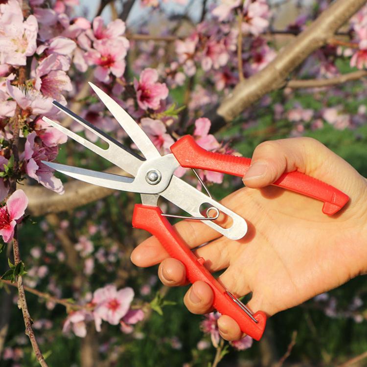 農業用果物・花の間引きはさみ 家庭用ガーデニング剪定工具、6608-1