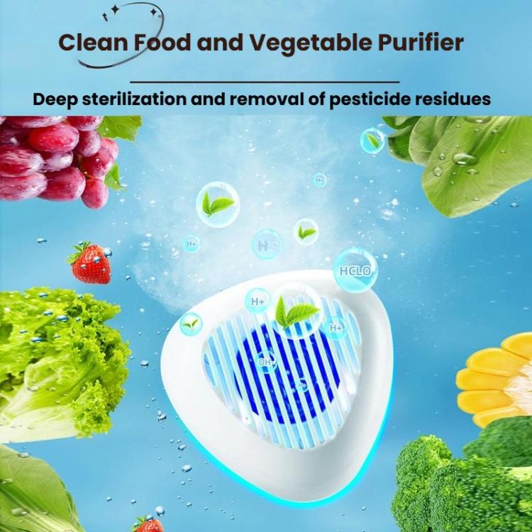 携帯用殺菌農薬残留除去用果物野菜洗浄機、英語