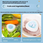 携帯用殺菌農薬残留除去用果物野菜洗浄機、英語