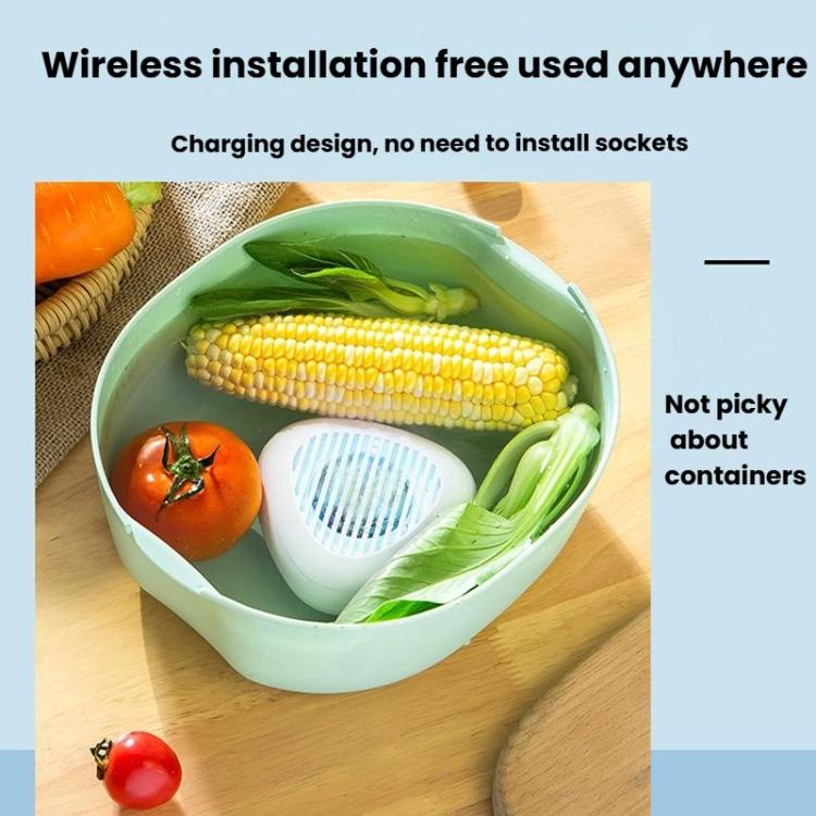 携帯用殺菌農薬残留除去用果物野菜洗浄機、英語