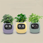 マルチセンサー搭載スマートプラントポット WiFi植物モニター 2インチ画面 Mi/Tuyaホームエコシステム対応