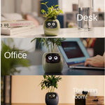 マルチセンサー搭載スマートプラントポット WiFi植物モニター 2インチ画面 Mi/Tuyaホームエコシステム対応