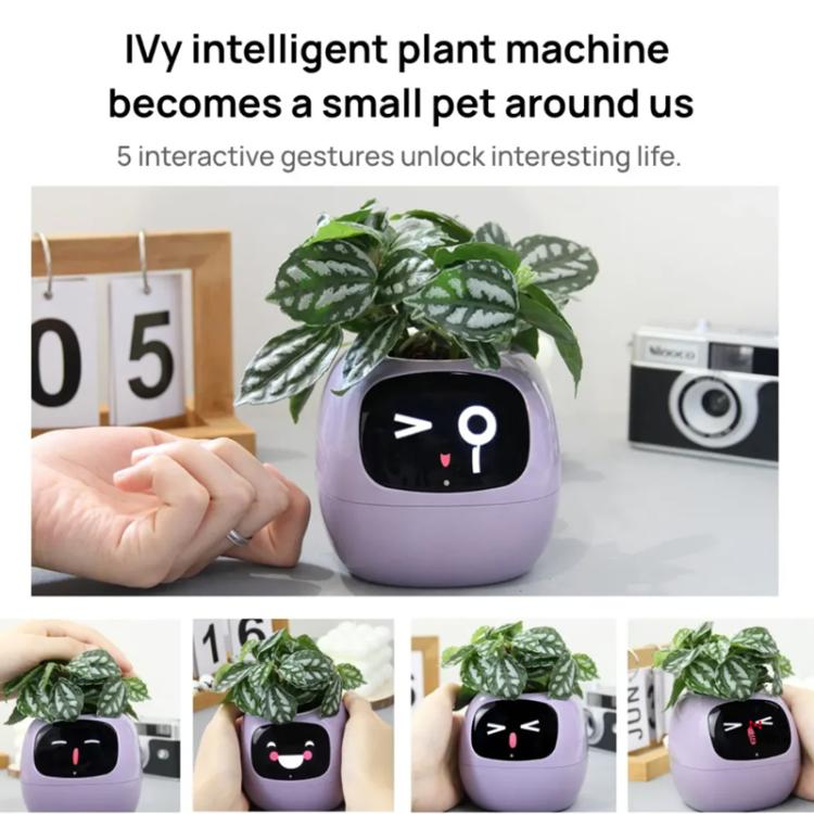 マルチセンサー搭載スマートプラントポット WiFi植物モニター 2インチ画面 Mi/Tuyaホームエコシステム対応