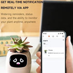 マルチセンサー搭載スマートプラントポット WiFi植物モニター 2インチ画面 Mi/Tuyaホームエコシステム対応