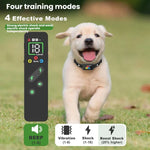 カラースクリーンショックカラー リモコン式犬トレーニング装置