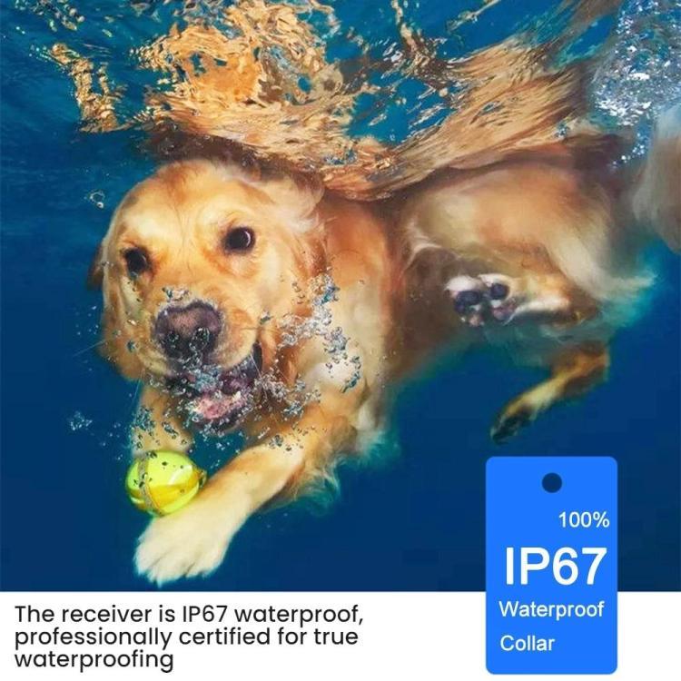 リモコン式犬トレーニング装置 電気ショックカラー付き