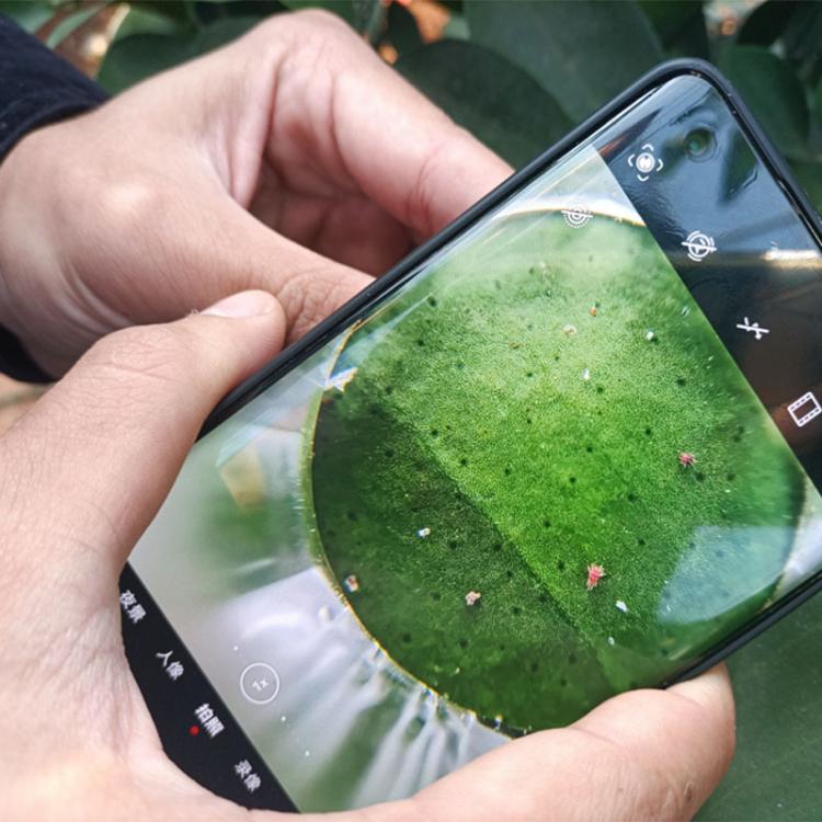 肌の毛穴 頭皮マクロ拡大鏡 スマートフォン用