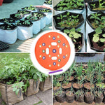 種まき用ステンシル間隔ツール 野菜植え付けボード 丸型オレンジ、四角型グリーン