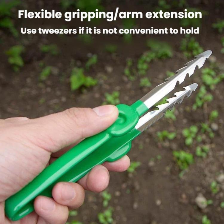 園芸多肉植物手入れ用ツール ピンセット 家庭用野菜園除草クリップ