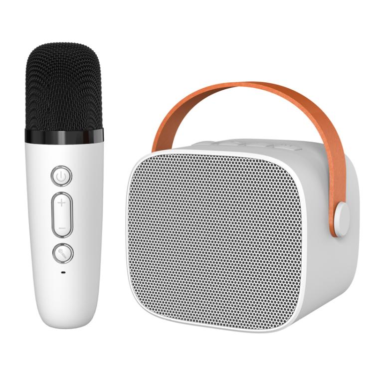 取り外し可能マイク付きポータブルBluetoothスピーカー 子供・家族用カラオケセット スカイブルー二重マイク、ピンク二重マイク、ホワイト二重マイク、スカイブルー単一マイク、ピンク単一マイク、ホワイト単一マイク