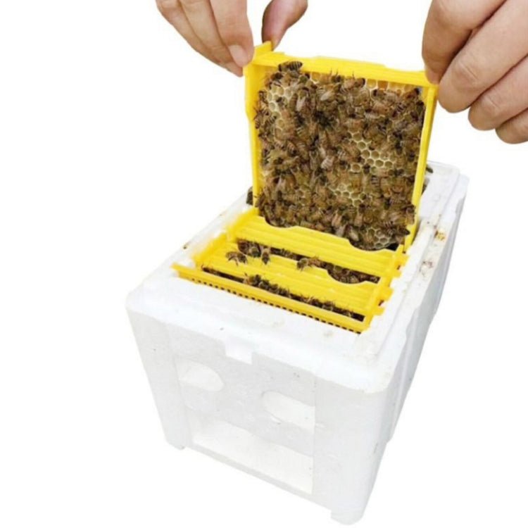ミツバチ育成箱 発泡育成箱 受粉箱、ミツバチ受粉箱