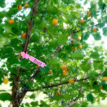 100個園芸植物苗木種子吊り下げ木ラベル、植物ラベル5黄色、植物ラベル5緑、植物ラベル5青、植物ラベル5赤、植物ラベル5白、植物ラベル5ピンク