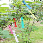 100個園芸植物苗木種子吊り下げ木ラベル、植物ラベル5黄色、植物ラベル5緑、植物ラベル5青、植物ラベル5赤、植物ラベル5白、植物ラベル5ピンク