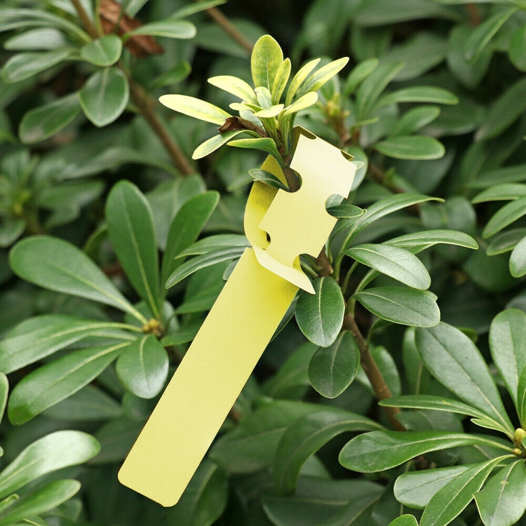 100個園芸植物苗木種子吊り下げ木ラベル、植物ラベル5黄色、植物ラベル5緑、植物ラベル5青、植物ラベル5赤、植物ラベル5白、植物ラベル5ピンク