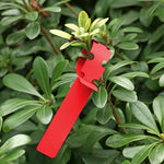 100個園芸植物苗木種子吊り下げ木ラベル、植物ラベル5黄色、植物ラベル5緑、植物ラベル5青、植物ラベル5赤、植物ラベル5白、植物ラベル5ピンク
