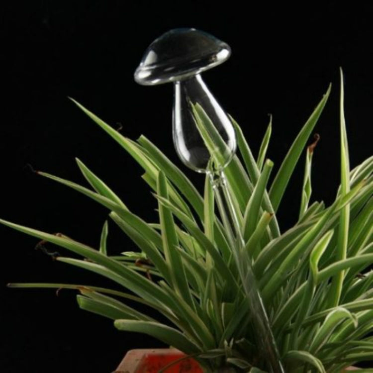 キノコ形状の家植物花用自動給水クリアガラス装置