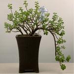 キノコ形状の家植物花用自動給水クリアガラス装置