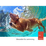 500m犬用トレーニング吠え止めリモートコントロール電気ショック防水電子首輪