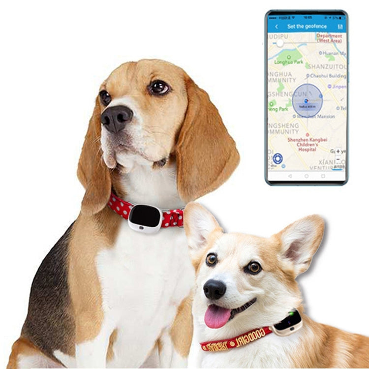 RF-V43 Aスタイル IP67 防水 GPS + LBS + WiFi ペットロケーター ペット首輪 トラッキングデバイス アジア／ヨーロッパ／アフリカ／オーストラリア用、RF-V43 Aスタイル（ブラック）、RF-V43 Aスタイル（ホワイト）
